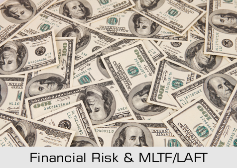 Financial Risk